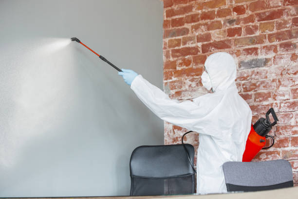 Best Crawl Space Mold Remediation  in Franklin Grove, IL