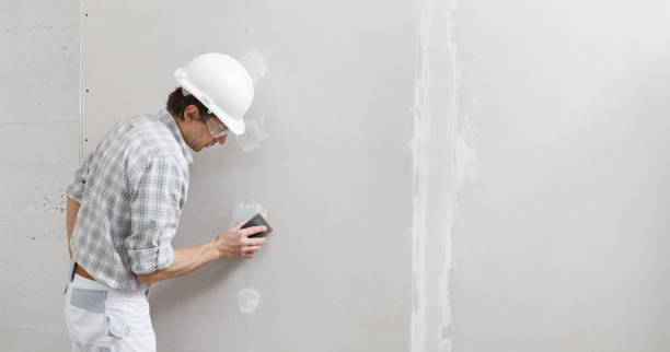 Best Mold-Related Health Consultation  in Franklin Grove, IL