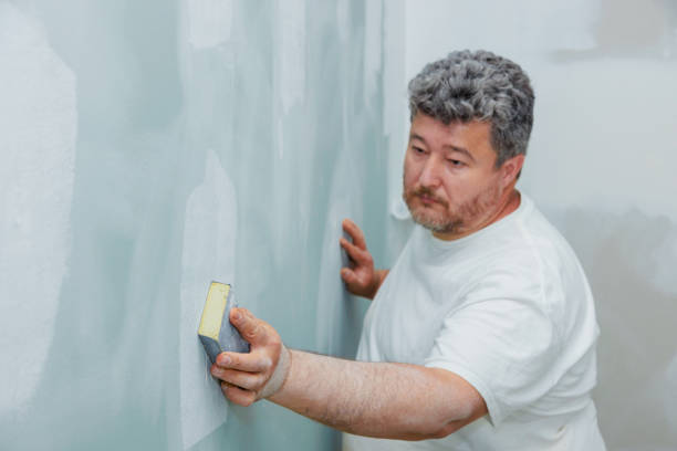 Best Mold Damage Restoration  in Franklin Grove, IL