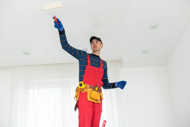 Best Air Quality Testing for Mold Spores  in Franklin Grove, IL