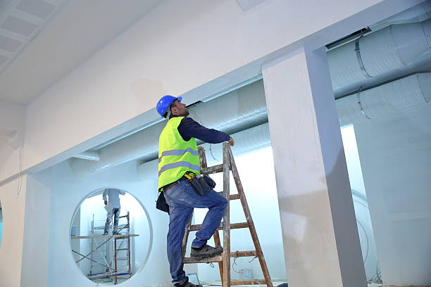 Best Water Damage & Mold Remediation  in Franklin Grove, IL