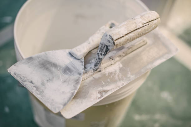 Best Commercial Mold Inspection  in Franklin Grove, IL