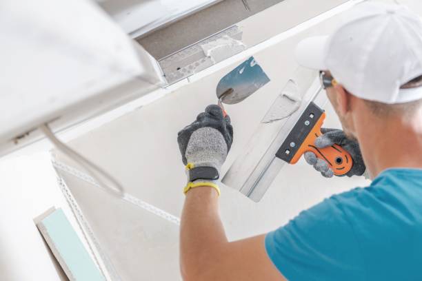 Best Attic Mold Removal  in Franklin Grove, IL